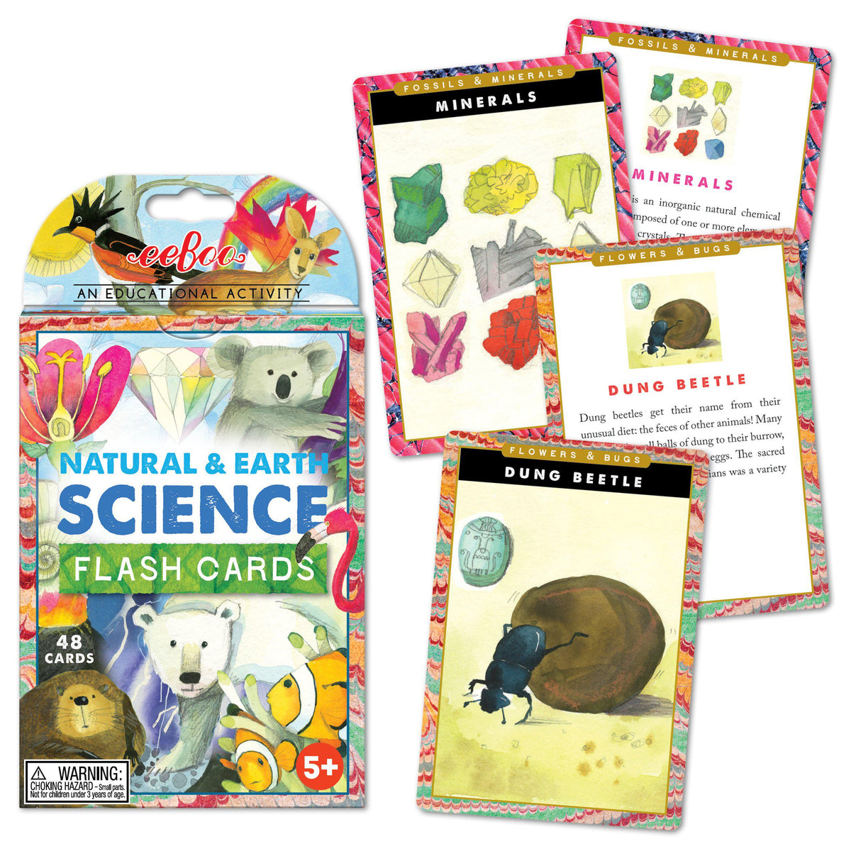 Flash Cards - Natural &amp; Earth Science-Science &amp; Discovery-EeBoo-Yellow Springs Toy Company