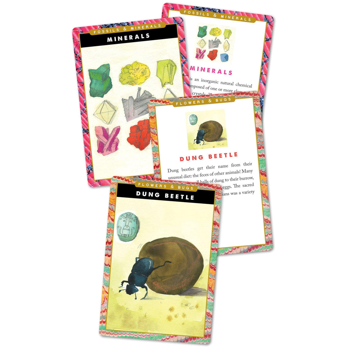 Flash Cards - Natural &amp; Earth Science-Science &amp; Discovery-EeBoo-Yellow Springs Toy Company