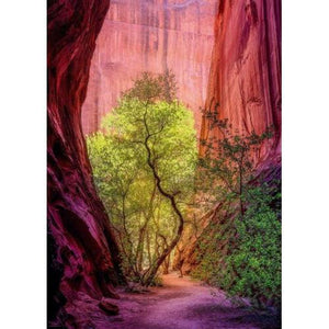 Front view of complete Power of Nature Singing Canyon 1000 piece puzzle.