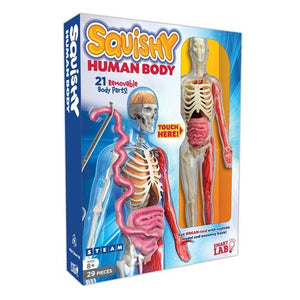 Front view of Squishy Human Body in its box.