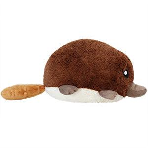 Front side view of the platypus.
