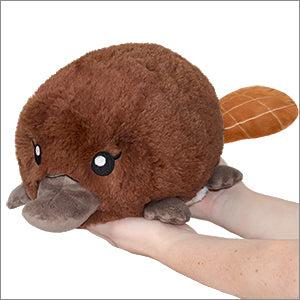 Front view of two hands holding the platypus.