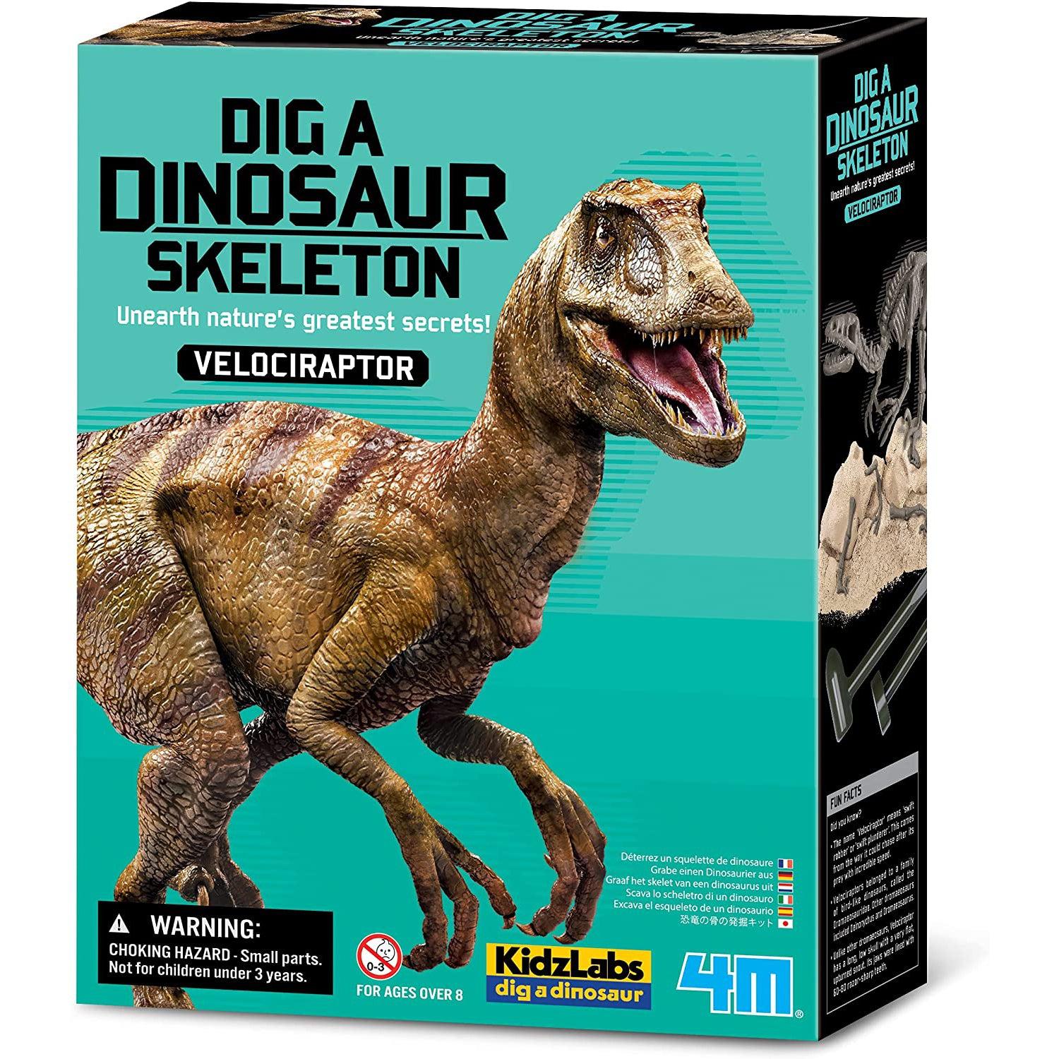 Front view of Dig A Dinosaur Skeleton Velociraptor in packaging.