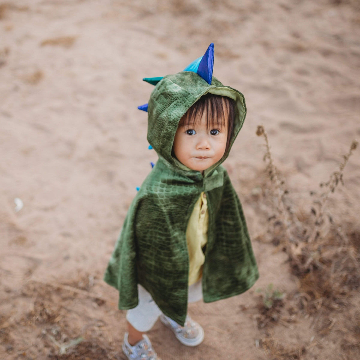 Baby dragon cape on child.