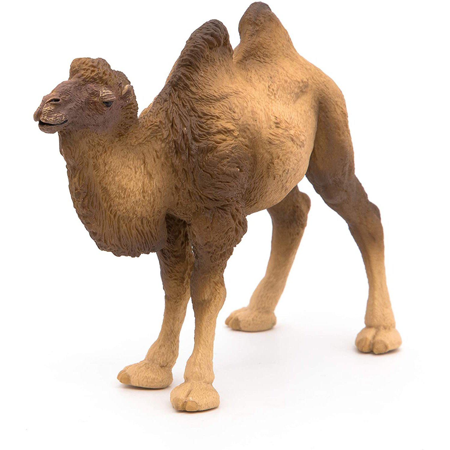 Papo - Bactrian Camel-Pretend Play-Papo | Hotaling-Yellow Springs Toy Company