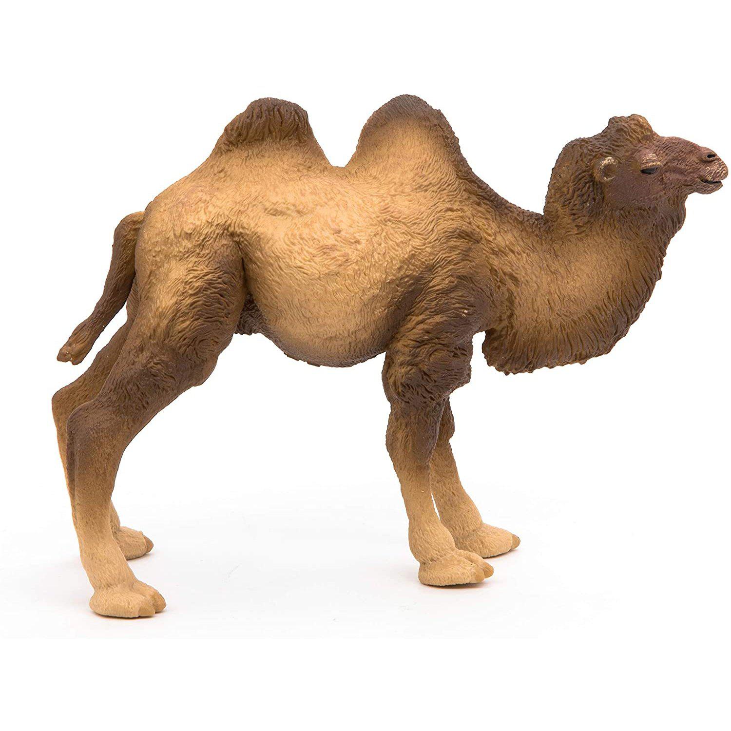 Papo - Bactrian Camel-Pretend Play-Papo | Hotaling-Yellow Springs Toy Company