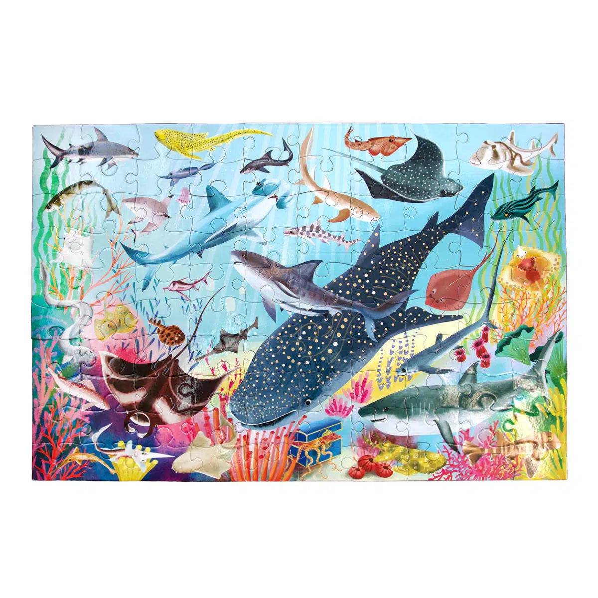 Front view of the love of sharks puzzle when completed.