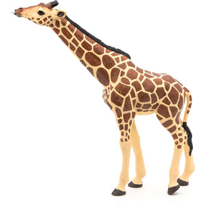 Papo - Giraffe Head Up-Pretend Play-Papo | Hotaling-Yellow Springs Toy Company