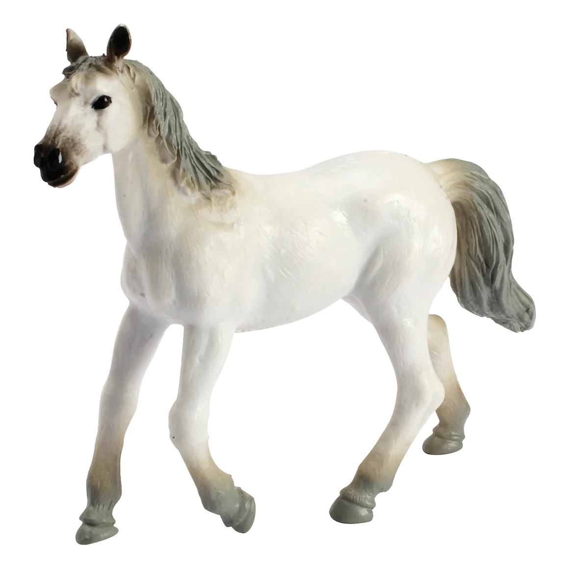 Front view of a white horse from the Wild West Horses-Assorted Horse Breeds.