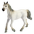 Front view of a white horse from the Wild West Horses-Assorted Horse Breeds.
