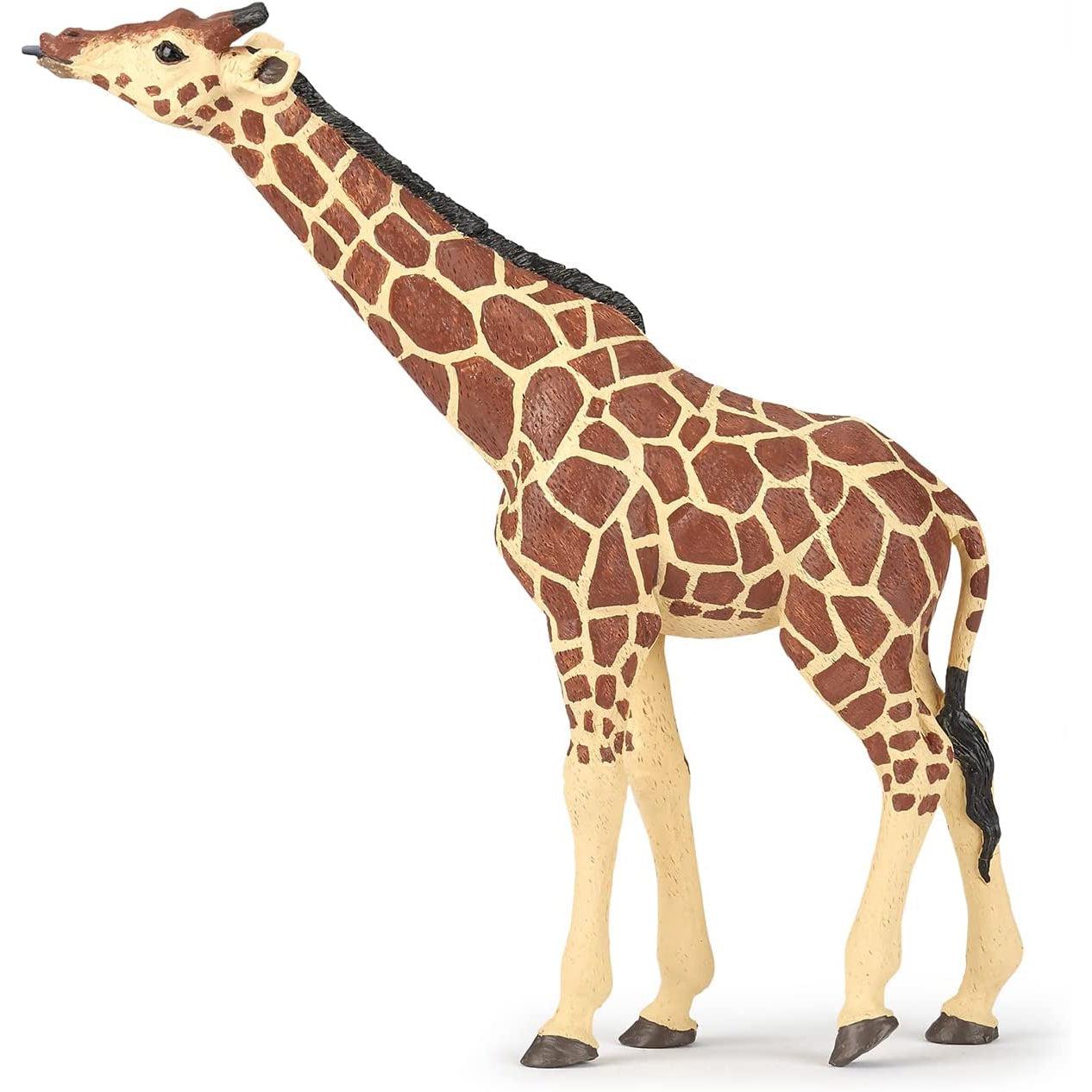 Papo - Giraffe Head Up-Pretend Play-Papo | Hotaling-Yellow Springs Toy Company