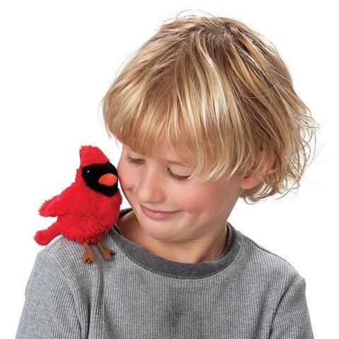 Mini Cardinal sitting on Childs shoulder