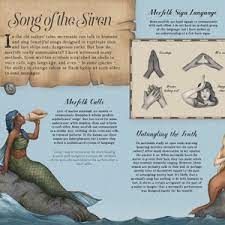 A Natural History of Mermaids | Hawkins-The Arts-Quarto USA | Hachette-Yellow Springs Toy Company