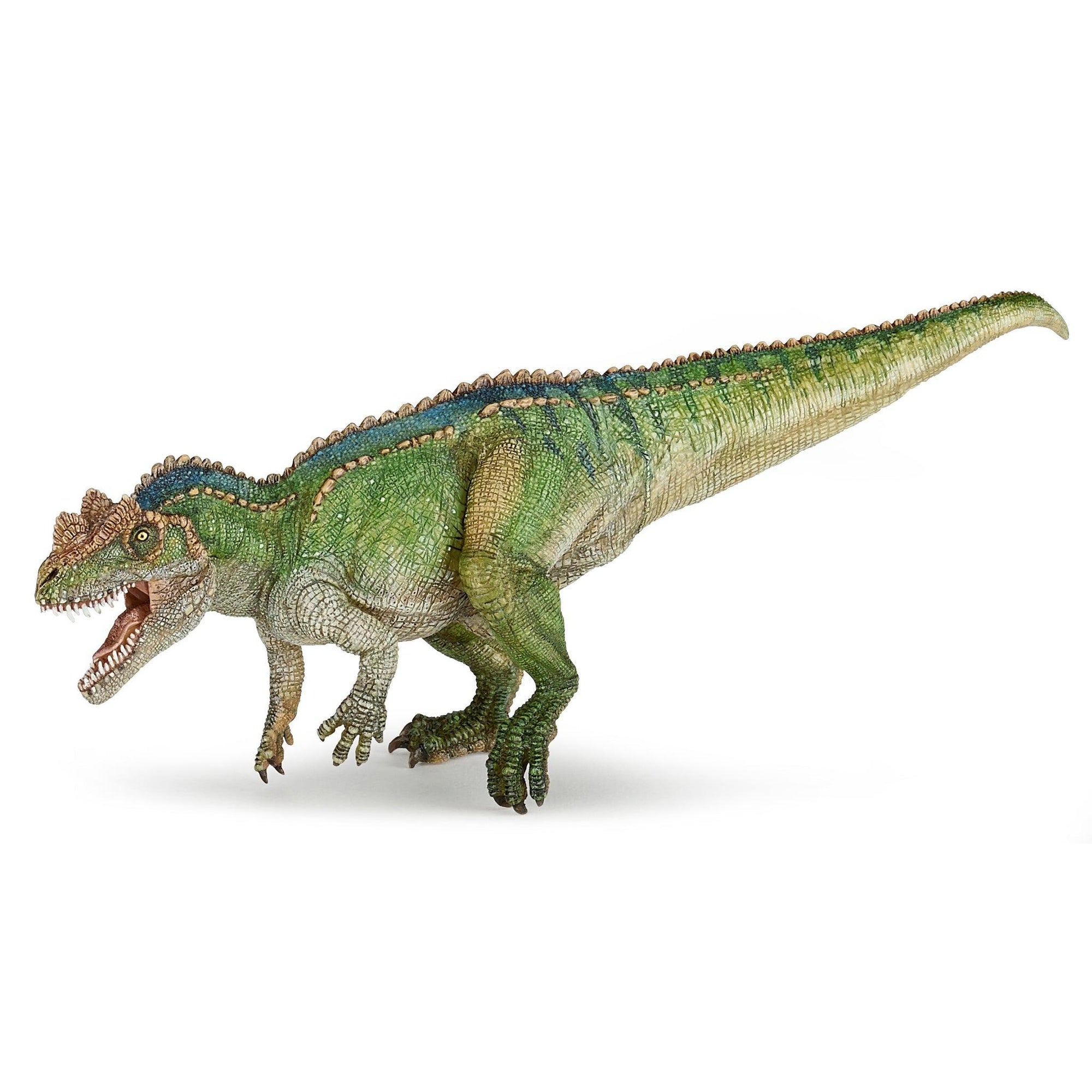 Papo - Ceratosaurus-Pretend Play-Papo | Hotaling-Yellow Springs Toy Company