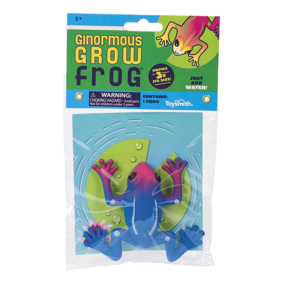 Ginormous Grow Frog-Novelty-TOYSMITH-Yellow Springs Toy Company