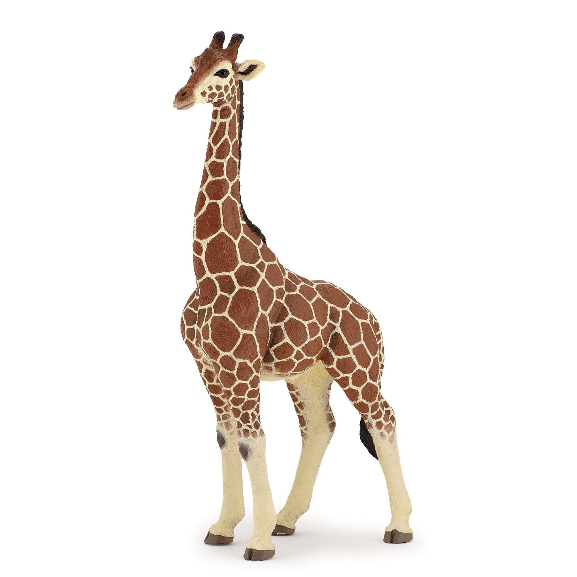 Papo - Male Giraffe-Pretend Play-Papo | Hotaling-Yellow Springs Toy Company