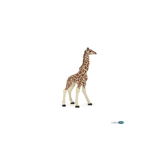 Papo - Giraffe Calf-Pretend Play-Papo | Hotaling-Yellow Springs Toy Company
