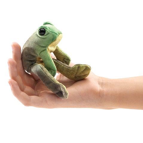 frog sitting in palm of someones hand