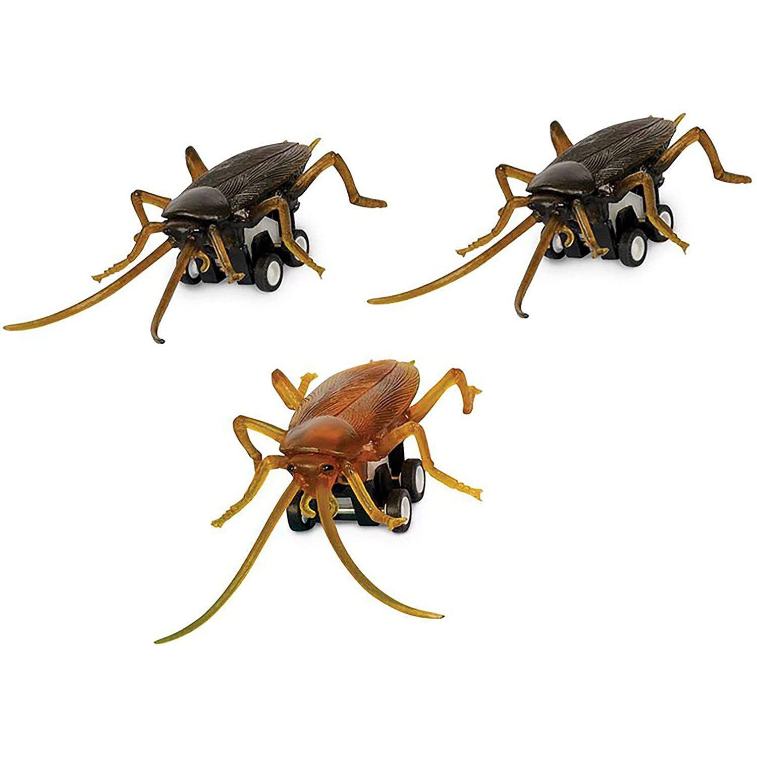Front view of three racing roaches.