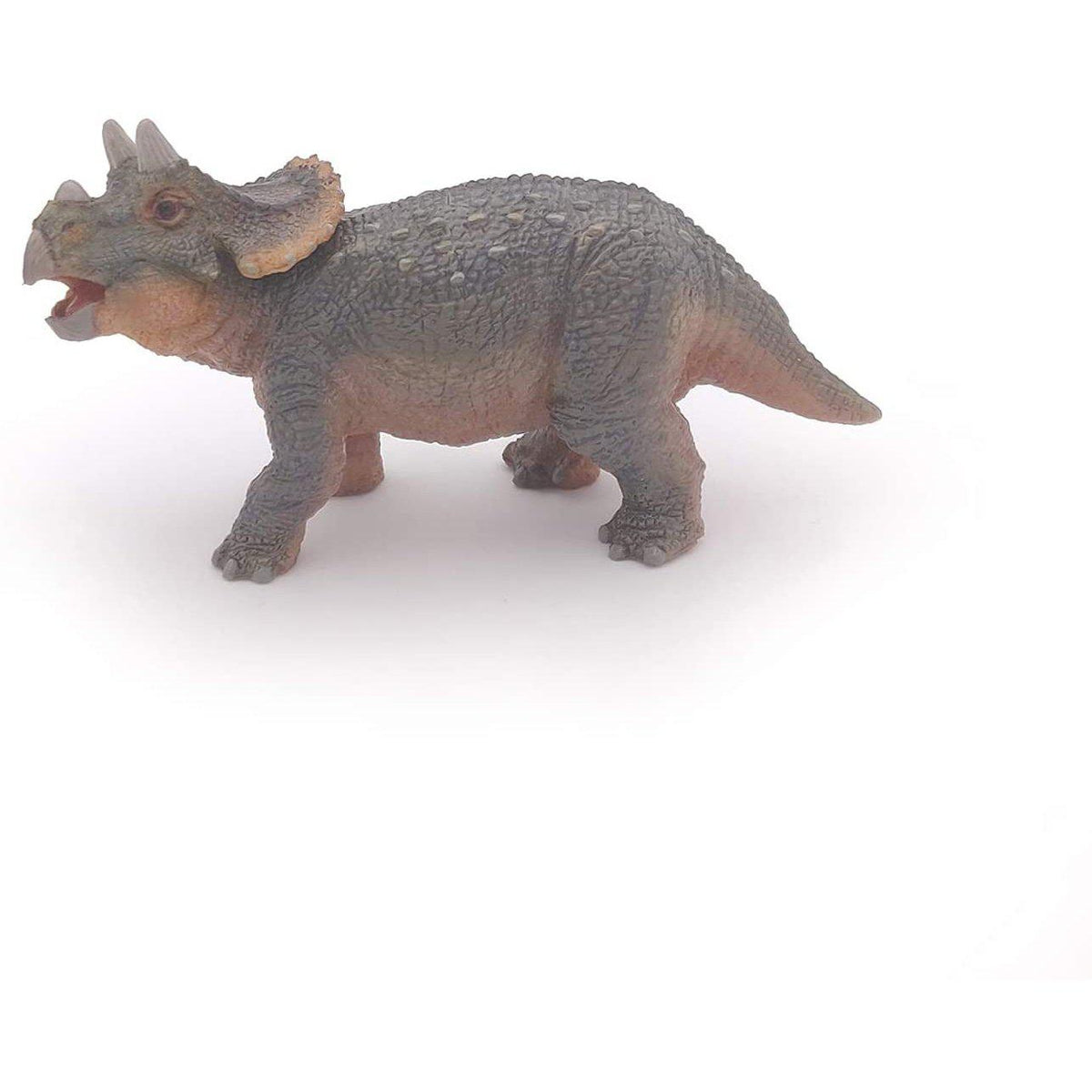 Papo - Young Triceratops-Pretend Play-Papo | Hotaling-Yellow Springs Toy Company