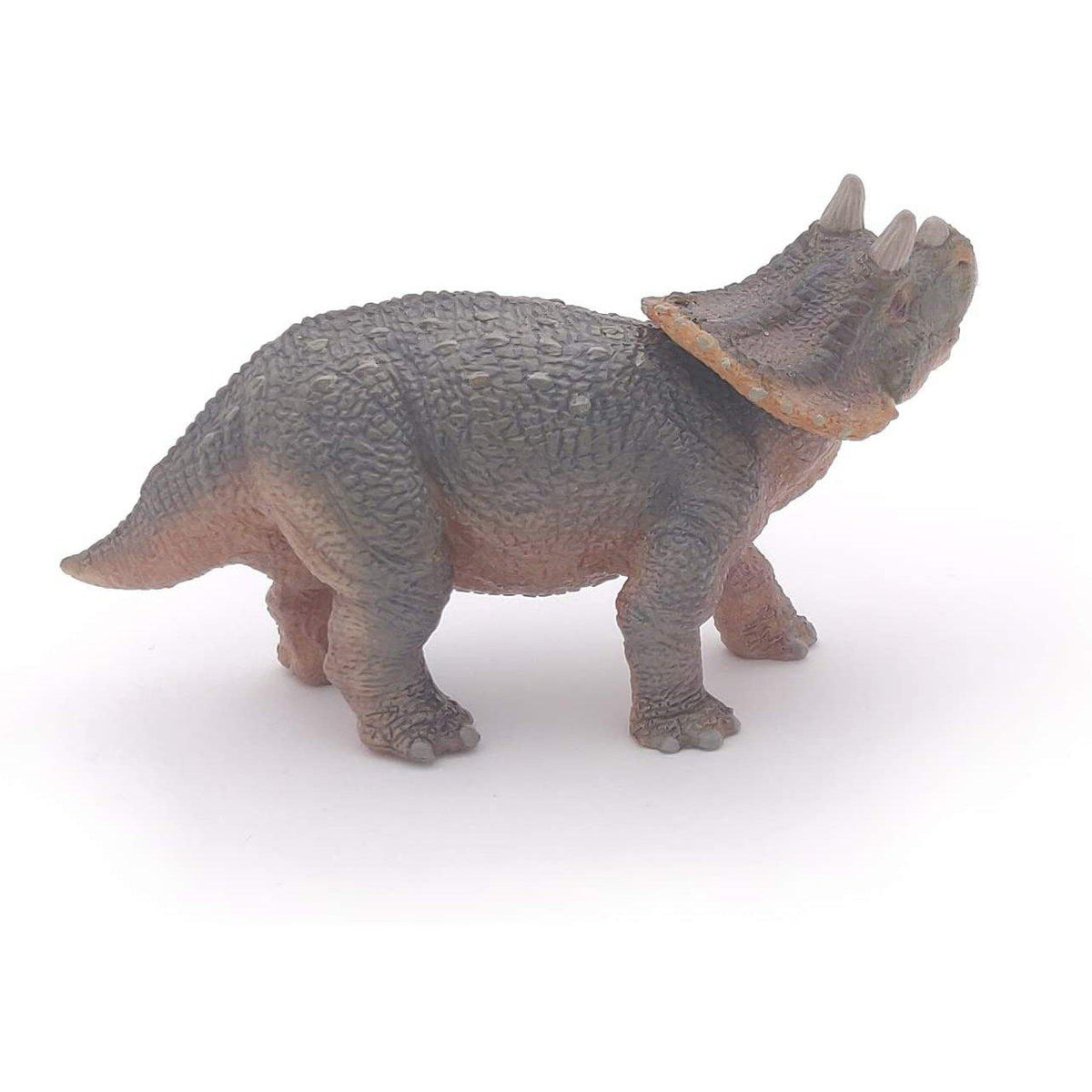 Papo - Young Triceratops-Pretend Play-Papo | Hotaling-Yellow Springs Toy Company